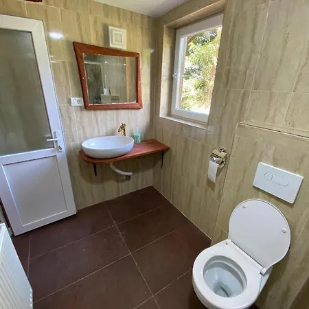 Pensiunea Casa Zmeilor 2*