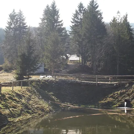 Pensiunea Casa Zmeilor Dragus