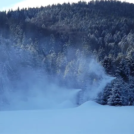 Pensiunea Casa Zmeilor Dragus